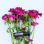 doTERRA Console Touch Roller (10ml)