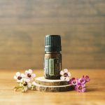 doTERRA Douglas Fir (Abete di Douglas) Olio Essenziale (5ml)