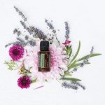 doTERRA Fennel (Finocchio) Olio Essenziale (15ml)