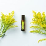 doTERRA Forgive Touch Roller (10ml)