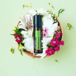doTERRA Tea Tree (Albero del Tè) Touch Roller (10ml)