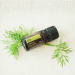 doTERRA Dill (Aneto) Olio Essenziale (5ml)