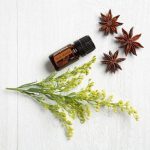 doTERRA Star Anise (Anice Stellato) Olio Essenziale (5ml)