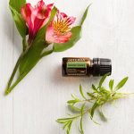 doTERRA Summer Savory (Santoreggia Estiva) Olio Essenziale (5ml)