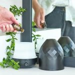 doTERRA Guaiacwood (Guaiaco) Olio Essenziale (15ml)