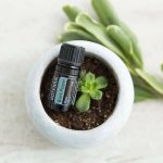 doTERRA Black Pepper (Pepe Nero) Olio Essenziale (5ml)