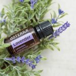 doTERRA Lavender (Lavanda) Olio Essenziale (15ml)
