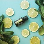 doTERRA Lime (Lime) Olio Essenziale (15ml)