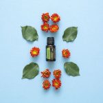doTERRA Rosemary (Rosmarino) Olio Essenziale (15ml)
