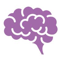 brain