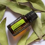 doTERRA Lemon Eucalyptus (Eucalipto al Limone) Olio Essenziale (15ml)