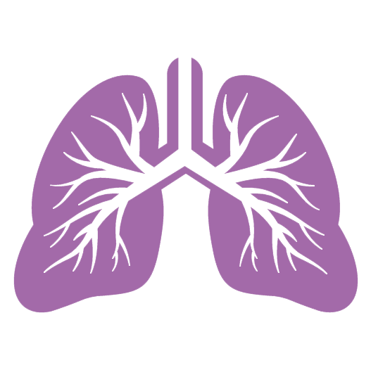 lungs