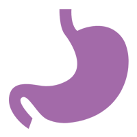 stomach